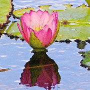 V3D8198 - Version 2  JAH-13-635